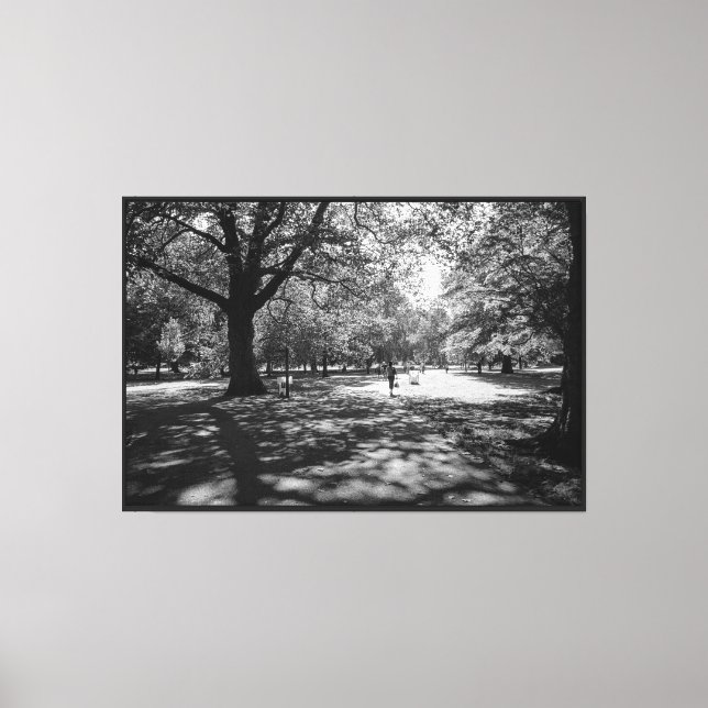 Bute Park on a Summer Afternoon. Cardiff, Wales Canvas Print (Front)