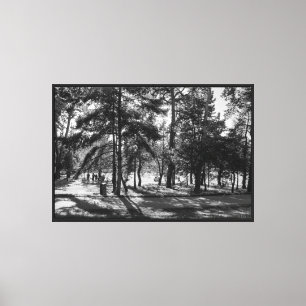 Bute Park on a Summer Afternoon. Cardiff, Wales Canvas Print