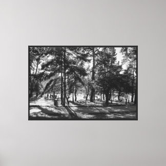 Bute Park on a Summer Afternoon. Cardiff, Wales Canvas Print