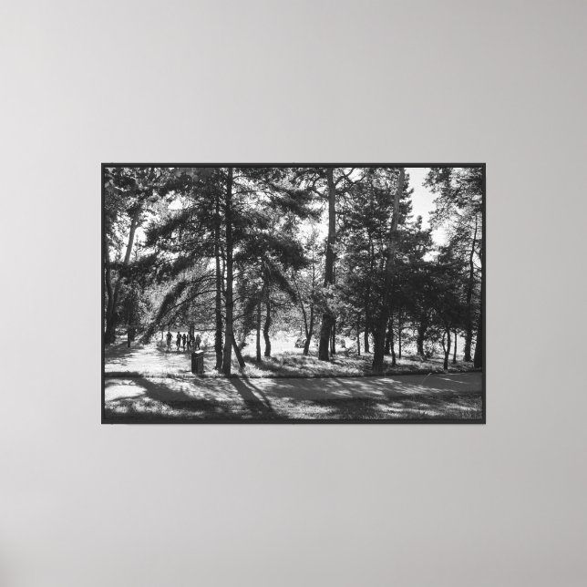 Bute Park on a Summer Afternoon. Cardiff, Wales Canvas Print (Front)