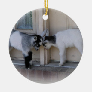 BUTT HEADS BABY GOATS CHRISTMAS ORNAMENTS