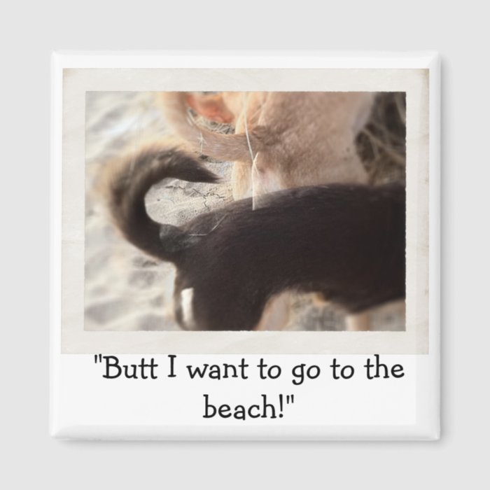 "Butt I want to go to the beach" Magnet