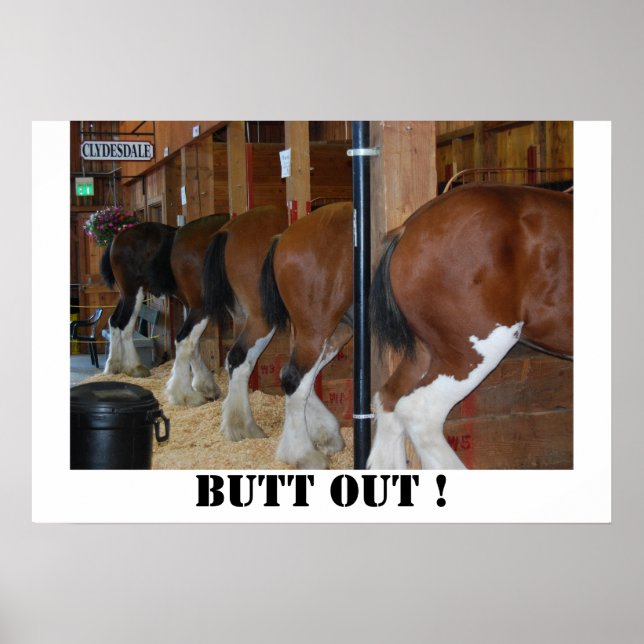 Butt out horse poster (Front)