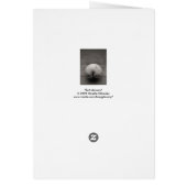 Butt-shroom Cards (Back)
