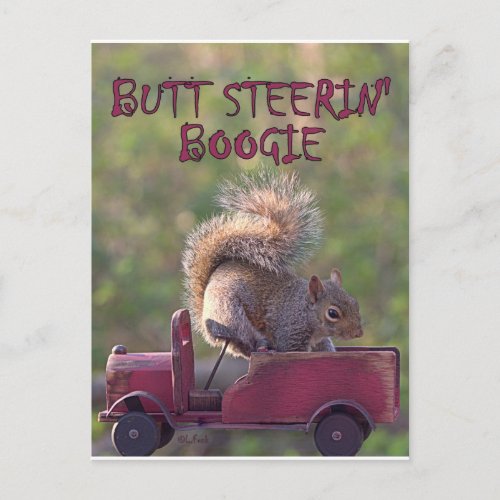 BUTT STEERIN BOOGIE POSTCARD