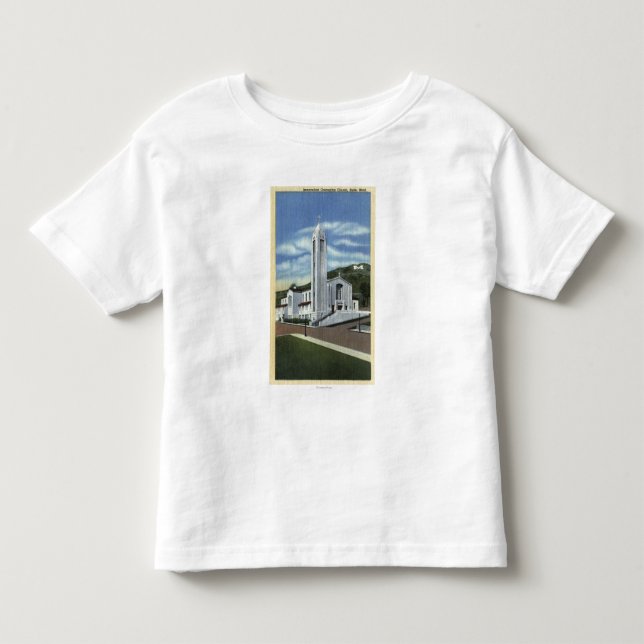 Butte, Montana - Immaculate Conception Church Toddler T-shirt (Front)