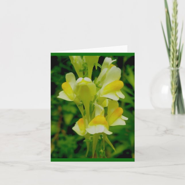 Butter 'n Eggs Note Card (Front)