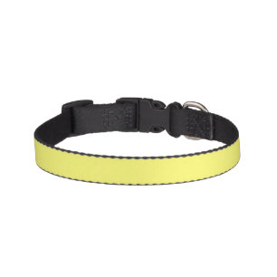Butter Yellow Pet Collar
