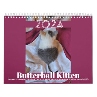 Butterball Kitten: 2024 Calendar