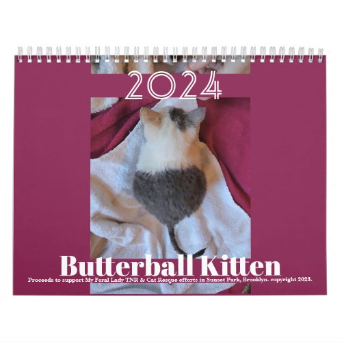Butterball Kitten 2024 Calendar