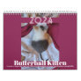 Butterball Kitten: 2024 Calendar