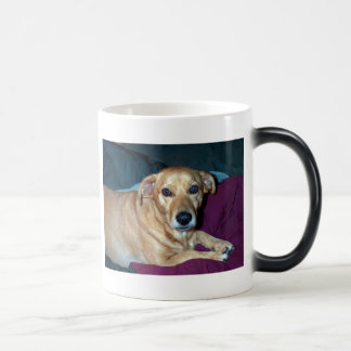Butterbean, Butterbean, Butterbean,Best little ... Color Morph Mug