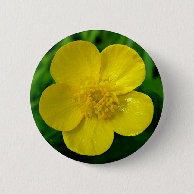 Buttercup Button (Front)