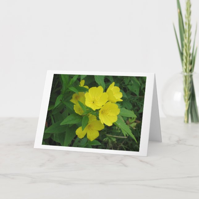 Buttercup Card (Front)