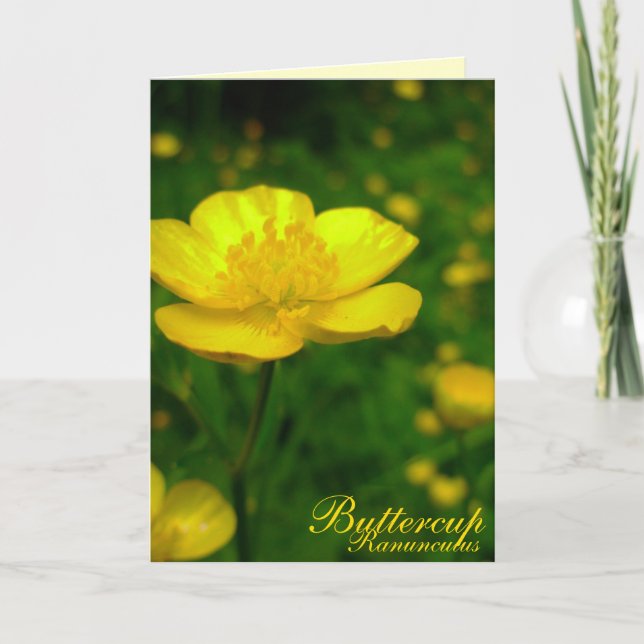 Buttercup Card Wild Flowers Custom Easter Cards (Front)