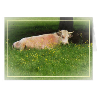 Buttercup Cards