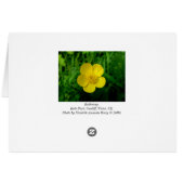 Buttercup Cards (Back Horizontal)
