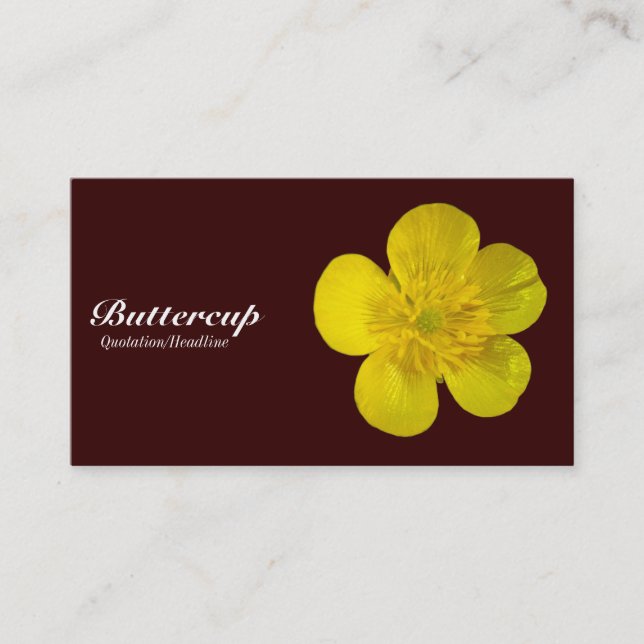 Buttercup - Dark Brown 330000 Business Card (Front)