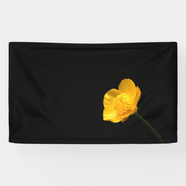 Buttercup Flower bnrcna Banner (Horizontal)
