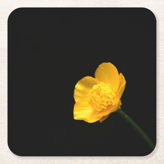 Buttercup Flower coastercna Square Paper Coaster (Front)