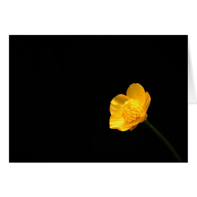 Buttercup Flower gccna Cards (Front Horizontal)