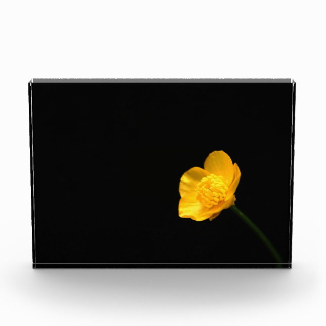 Buttercup Flower pbcna Photo Block (Front)