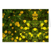 Buttercup Image Blank Card (Front Horizontal)