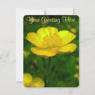 Buttercup Invitations Custom Buttercup RSVP Cards