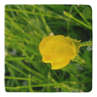 buttercup lumbar pillow trivet