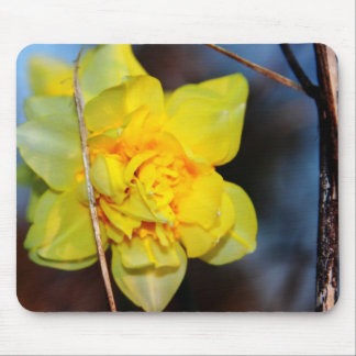 Buttercup Mouse Pad