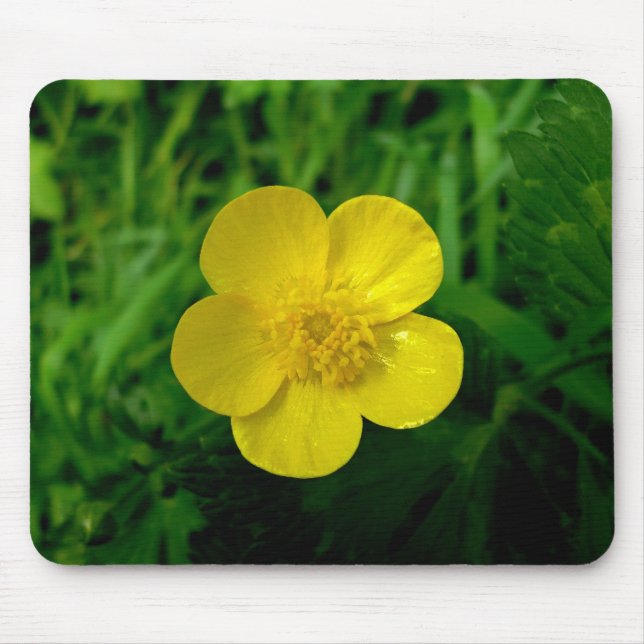 Buttercup Mouse Pad (Front)