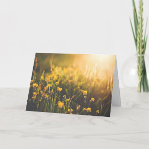 Buttercup Sundown Card