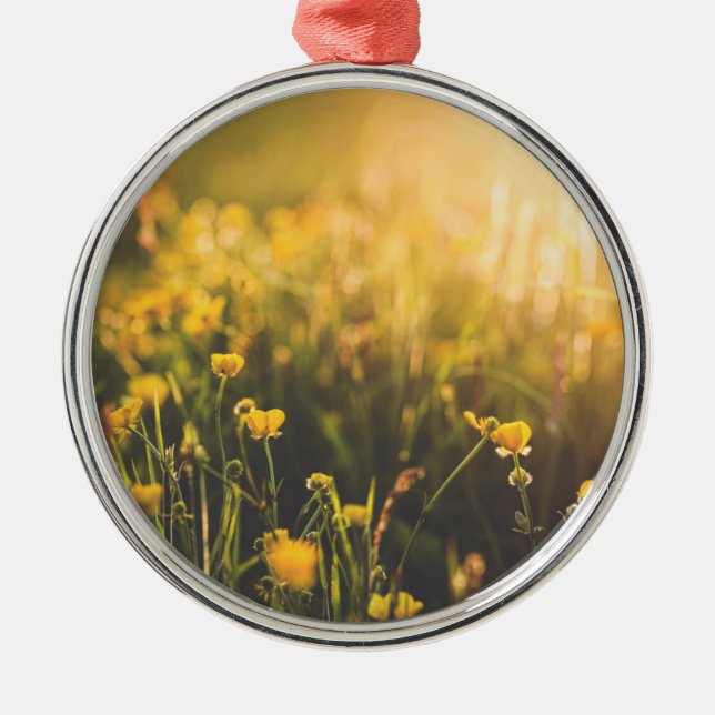 Buttercup Sundown Metal Ornament (Front)