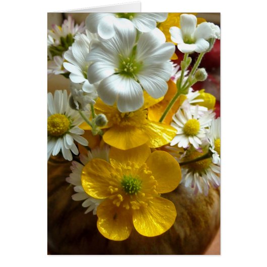 Buttercups and daisies (Front)
