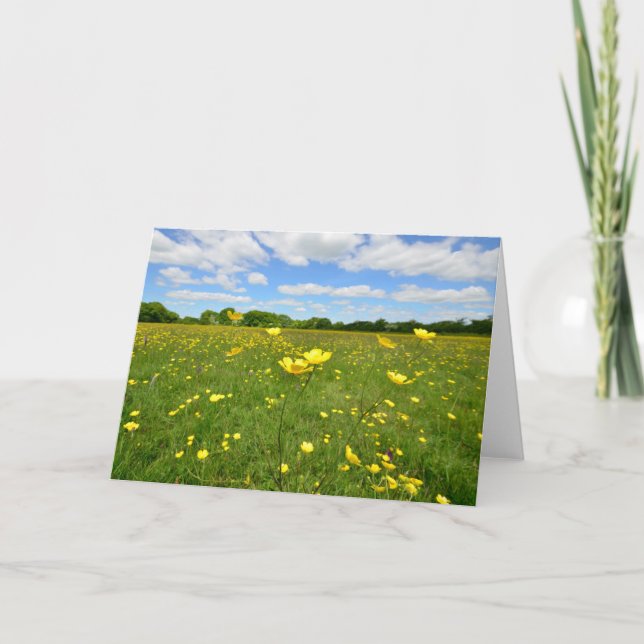 Buttercups in English Meadow Card (Front)