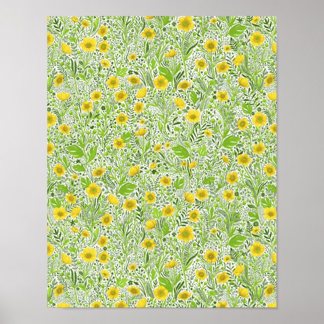 Buttercups on white poster (Front)