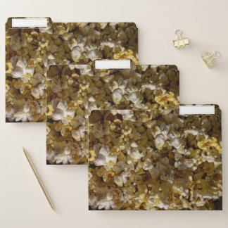 Buttered Popcorn File Folders