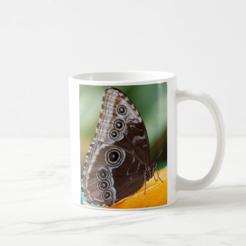 butterffly on fruit coffee mug