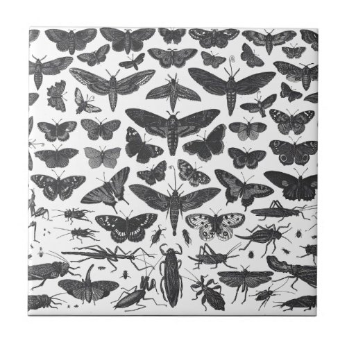 Butterfiles moths and insects BW pattern picture Ceramic Tile