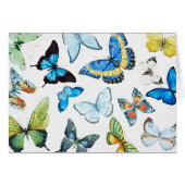 Butterflies (Front Horizontal)