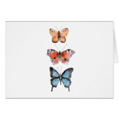 Butterflies (Front Horizontal)