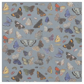 Butterflies  1842 Fabric by ThinxShop at Zazzle