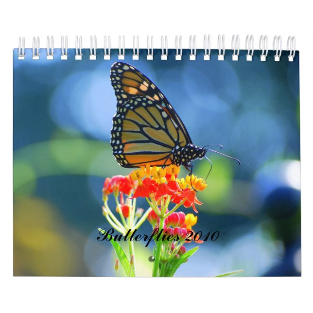 Butterflies 2010 Calendar (Cover)