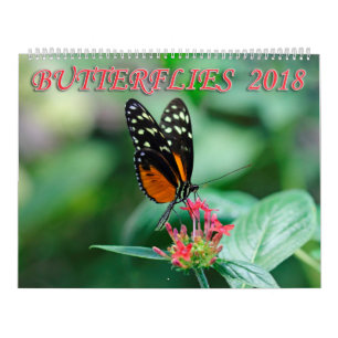 Butterflies 2018 calendar