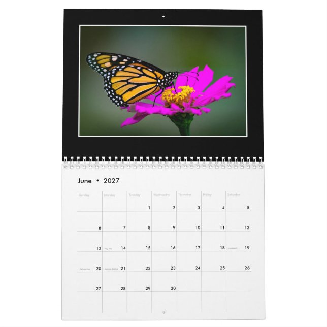 Butterflies 2020 Calendar By Tom Minutolo (Jun 2027)
