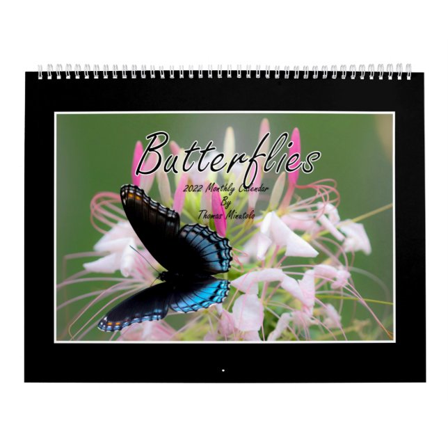 Butterflies 2022 Calendar By Tom Minutolo (Cover)