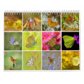 BUTTERFLIES 2023 SQUARE WALL CALENDAR