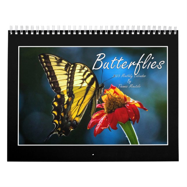 Butterflies 2023 Calendar By Tom Minutolo (Cover)