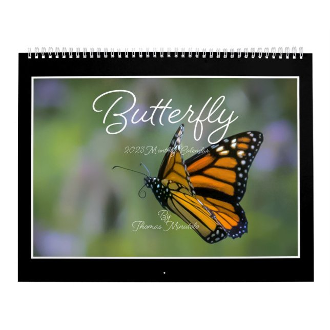 Butterflies 2023 Calendar By Tom Minutolo (Cover)