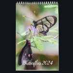 Butterflies 2024 calendar<br><div class="desc">This is a true butterflies through the years for me. I hope you like it or gift it to someone.</div>